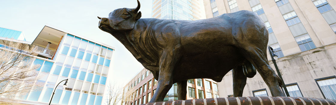 Durham County Bull