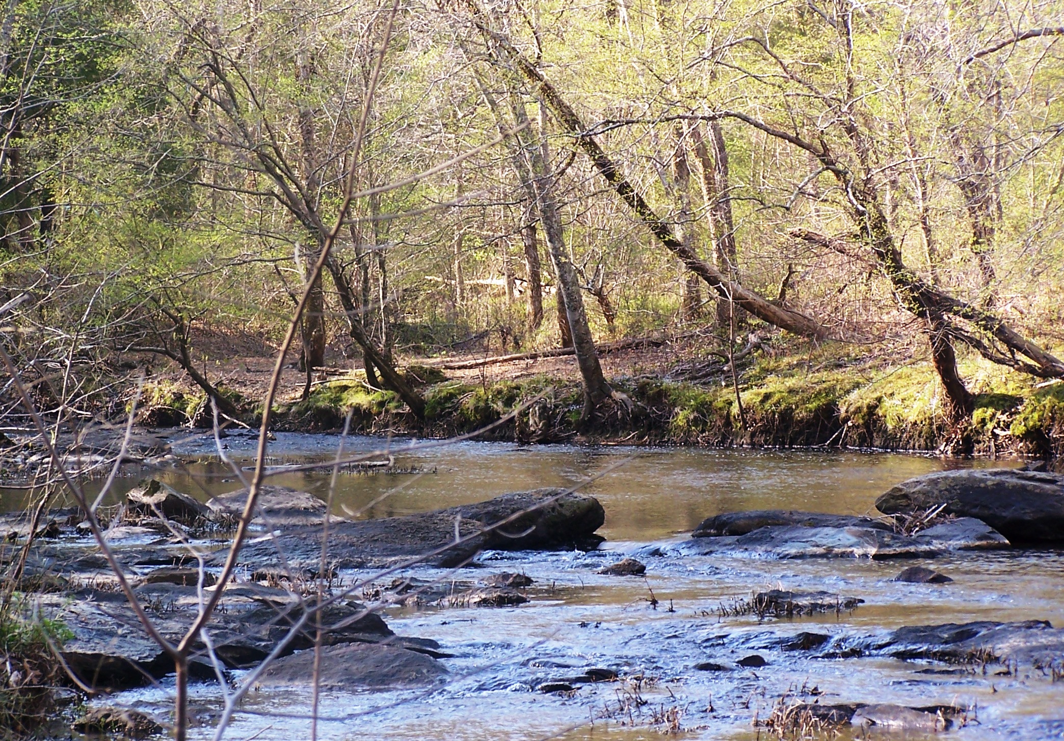 A river in Hollow Rock Nature Park