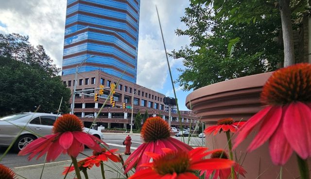 Flowers are in front of building in downtown Durham.
