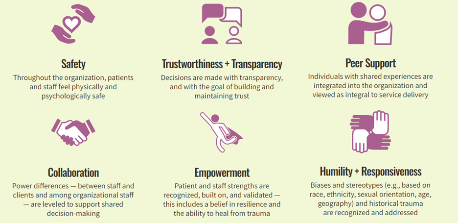 Six principles of trauma chart