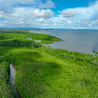 Environmental Affairs Board