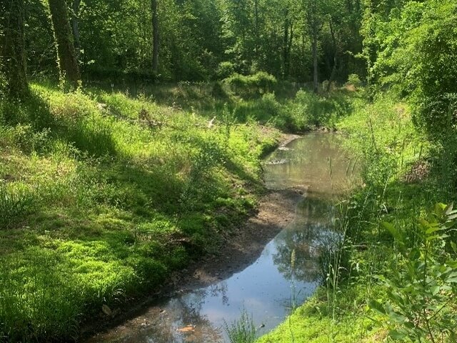 Dunbarton stream after restoration