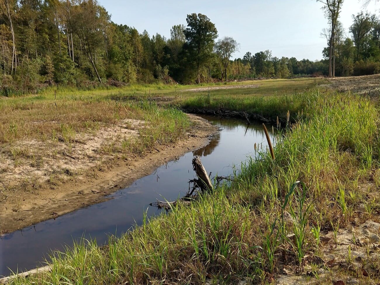 Marbrey-Jackson stream after restoration