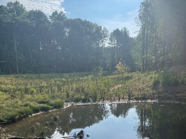 Riverside High School stormwater cells after restoration