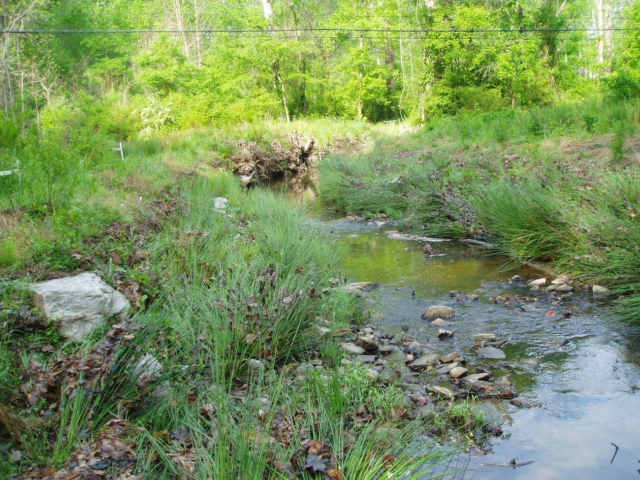 Sandy Creek after restoration