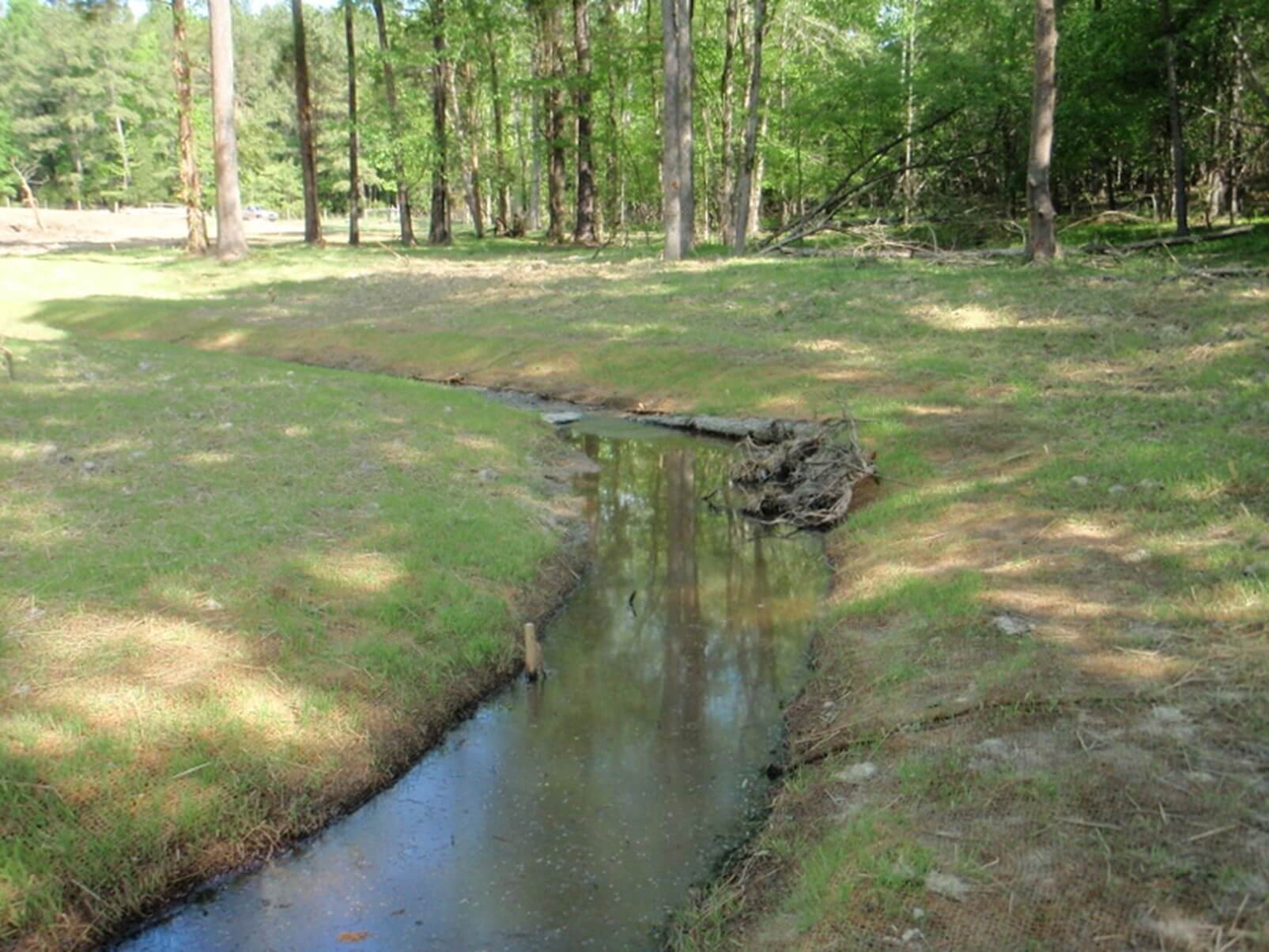 Thacker stream after restoration