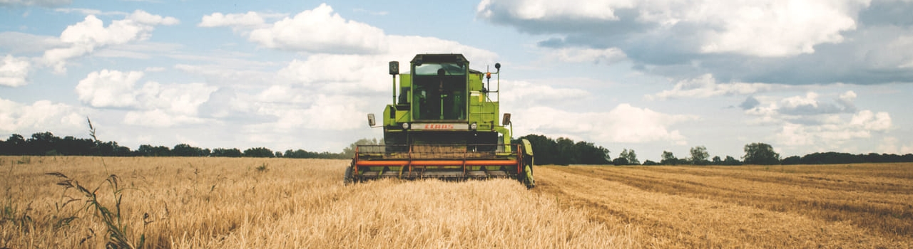 Tractor on a field