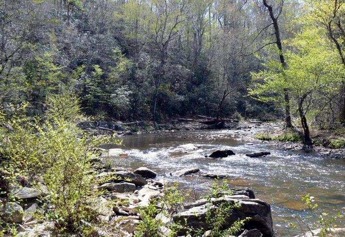 Little River Matthews Tract