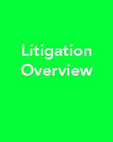 Litigation overview 1