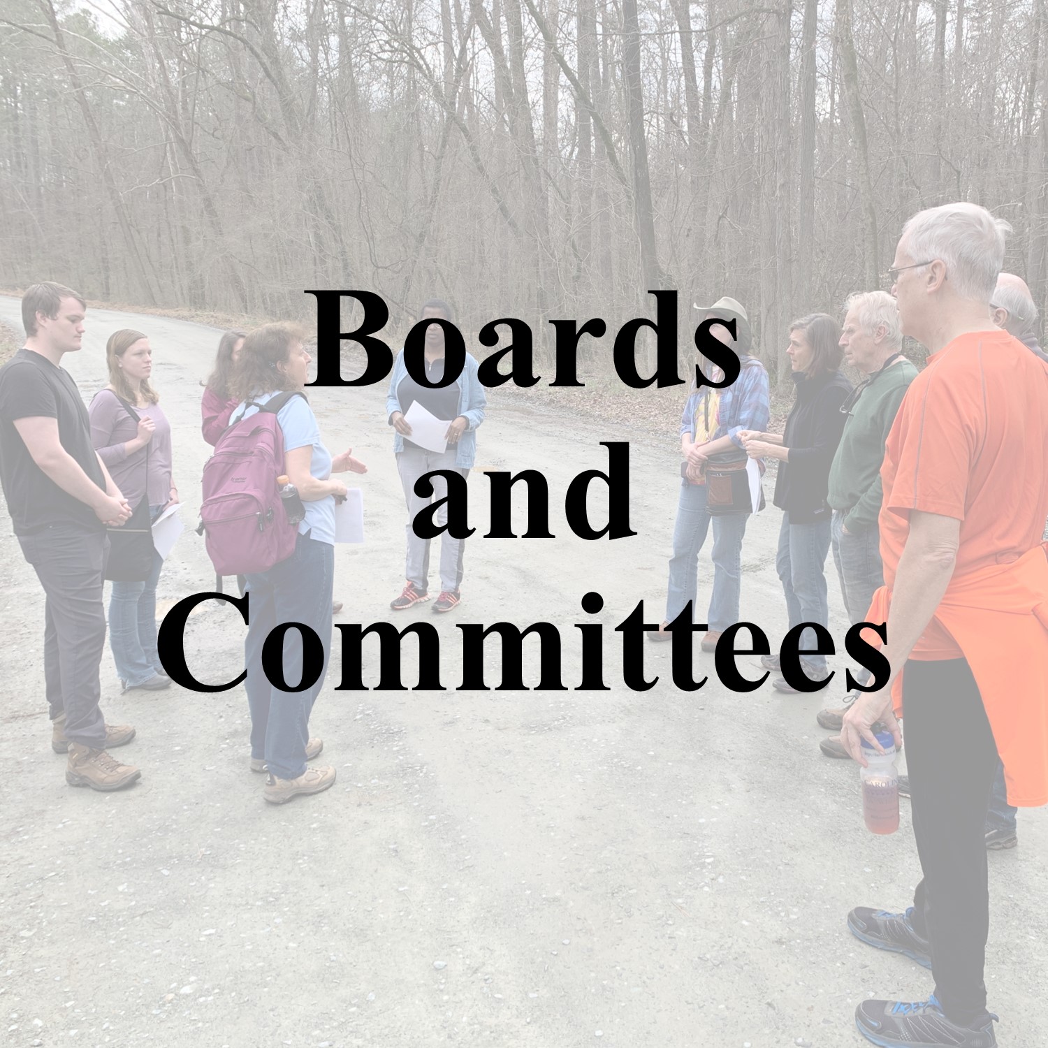 Boards and Committees Button