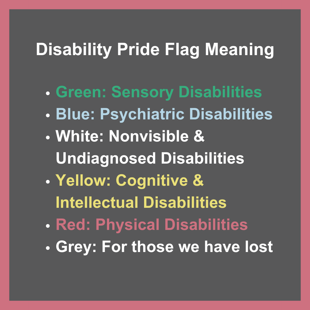 disability flag description