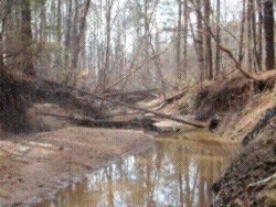 Little Pimmit Run at Chesterbrook Road Stream Restoration and Sanitary  Sewer Realignment